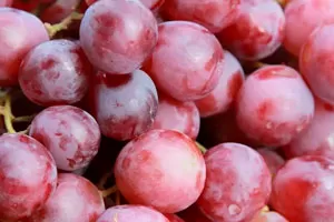 Красные европейские сорта винограда