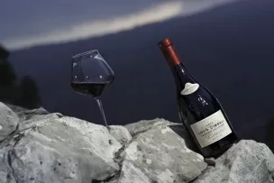 Об уме и характере Каберне Совиньон