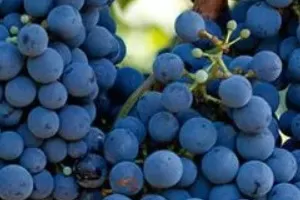 Аладастури