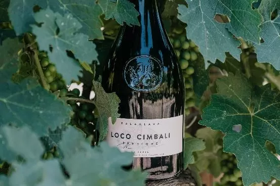 Победа на международном конкурсе Ялта. Золотой грифон-2019