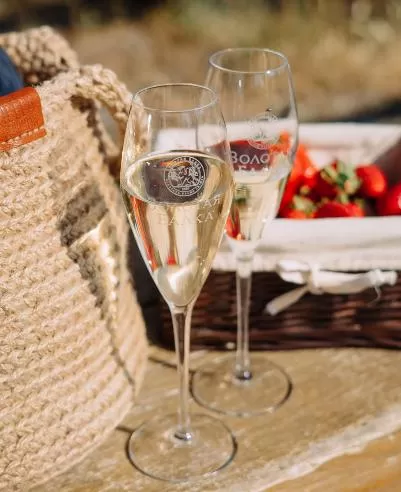 Ароматы вина, которые растопят лёд