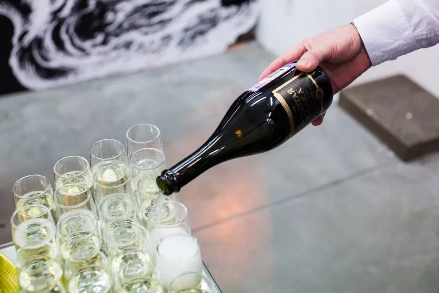 Открытие фестиваля «Дни франкофонии  2017»