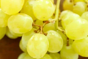 Белые европейские сорта винограда