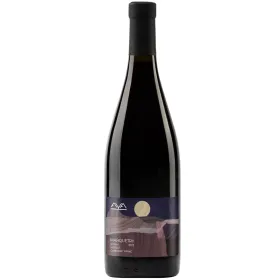 Вино Aya Organic Wine MARQUETRY «Сира, Каберне Фран, Мерло»