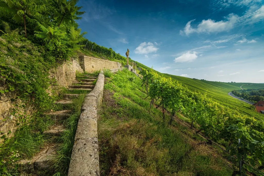 Карта виноделен Крыма