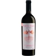 Вино ЗГУ Кубань Gunko Winery RED CLAYS